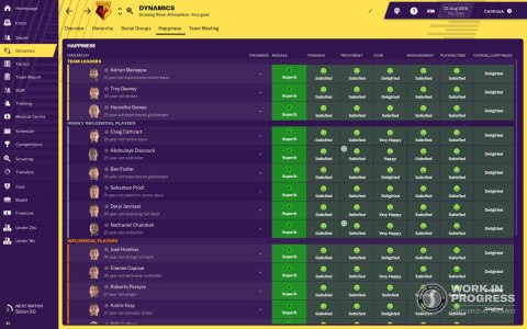 Football Manager 2019 PC PL DVD