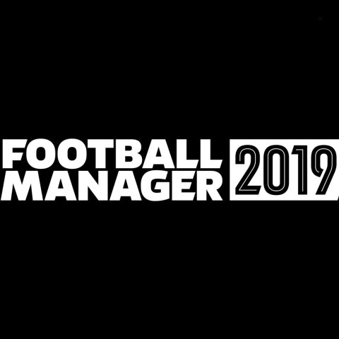 Football Manager 2019 PC PL DVD